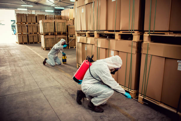Best Ant Control Services  in Ritzville, WA
