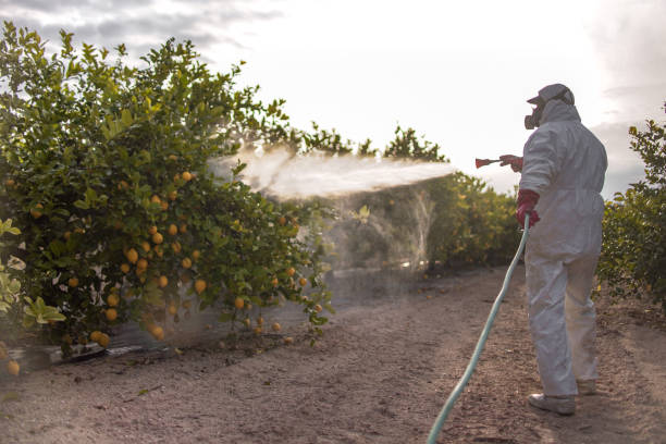 Best Commercial Pest Control Services  in Ritzville, WA