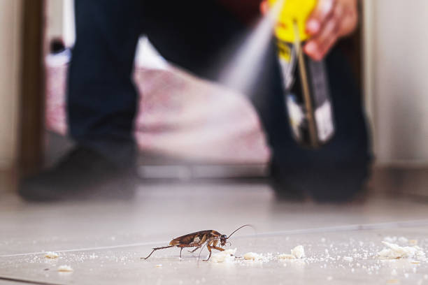 Best Insect Control  in Ritzville, WA