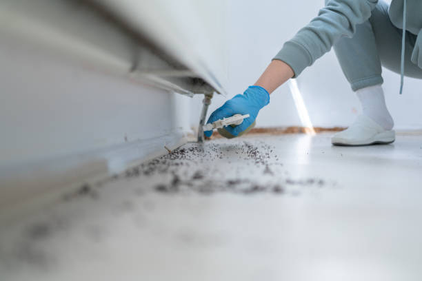 Best Wasp Removal Services  in Ritzville, WA